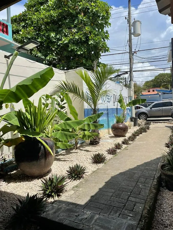 Casa Mia Hotel Cabarete Dominican Republic